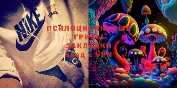 эйфоретик Бородино