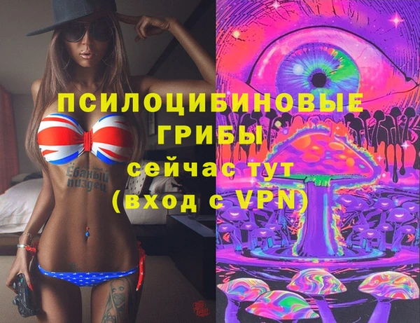 экстази Богородицк