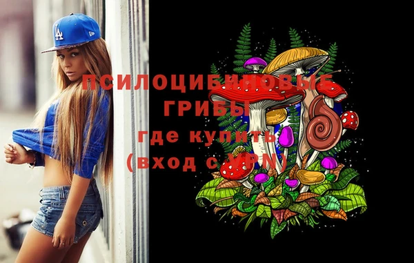 наркотики Богданович