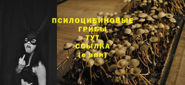 MESCALINE Осташков